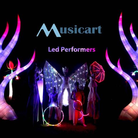 Led & Glow Performers